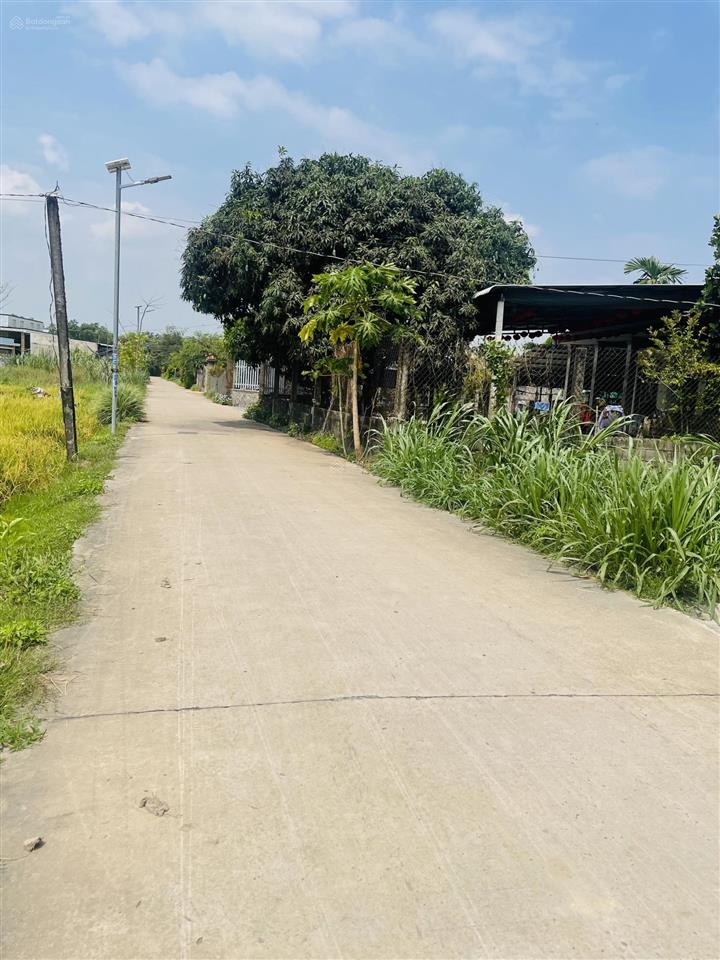 Đất giồng lớn mỹ hạnh nam dt 5*30m, giá đầu tư