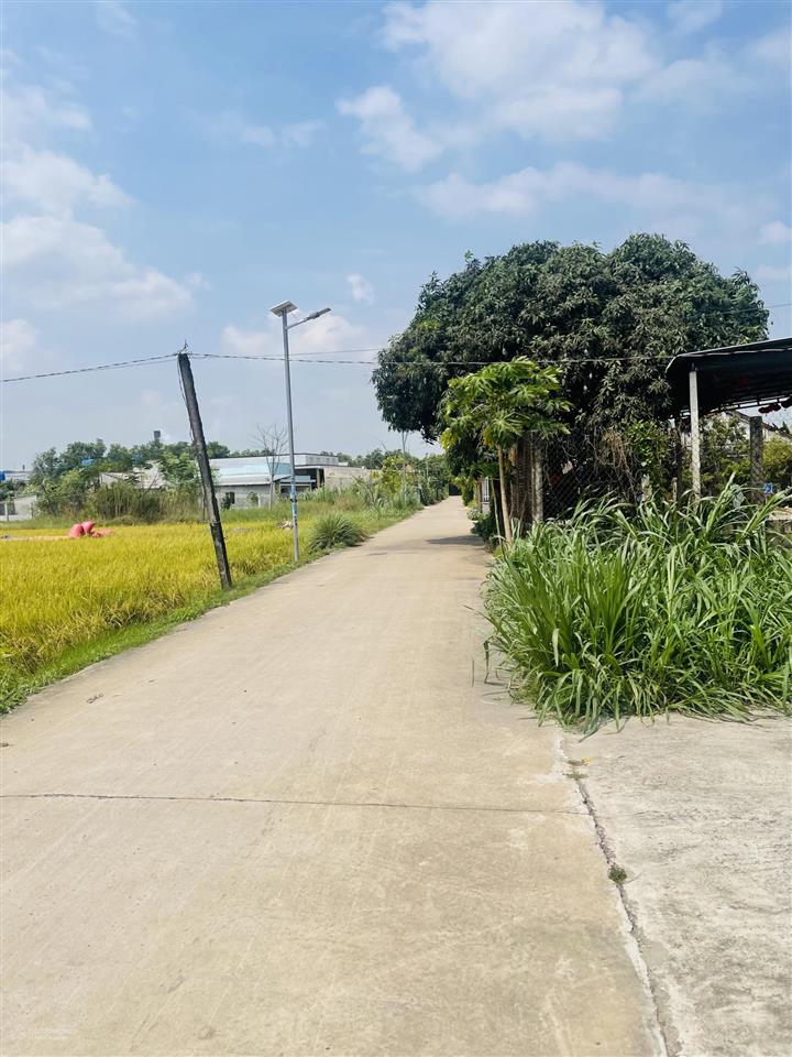 Đất giồng lớn mỹ hạnh nam dt 5*30m, giá đầu tư