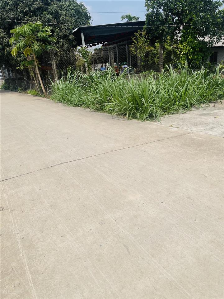 Đất giồng lớn mỹ hạnh nam dt 5*30m, giá đầu tư