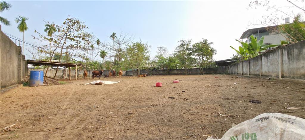 Bán 1.114m2 (32x34m), có 272m2 thổ cư, gần khu làng đh, giá chỉ 10,5 tỷ. p long phước, quận 9, hcm