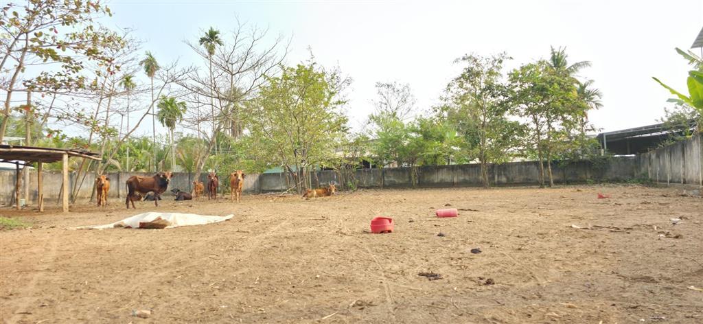 Bán 1.114m2 (32x34m), có 272m2 thổ cư, gần khu làng đh, giá chỉ 10,5 tỷ. p long phước, quận 9, hcm