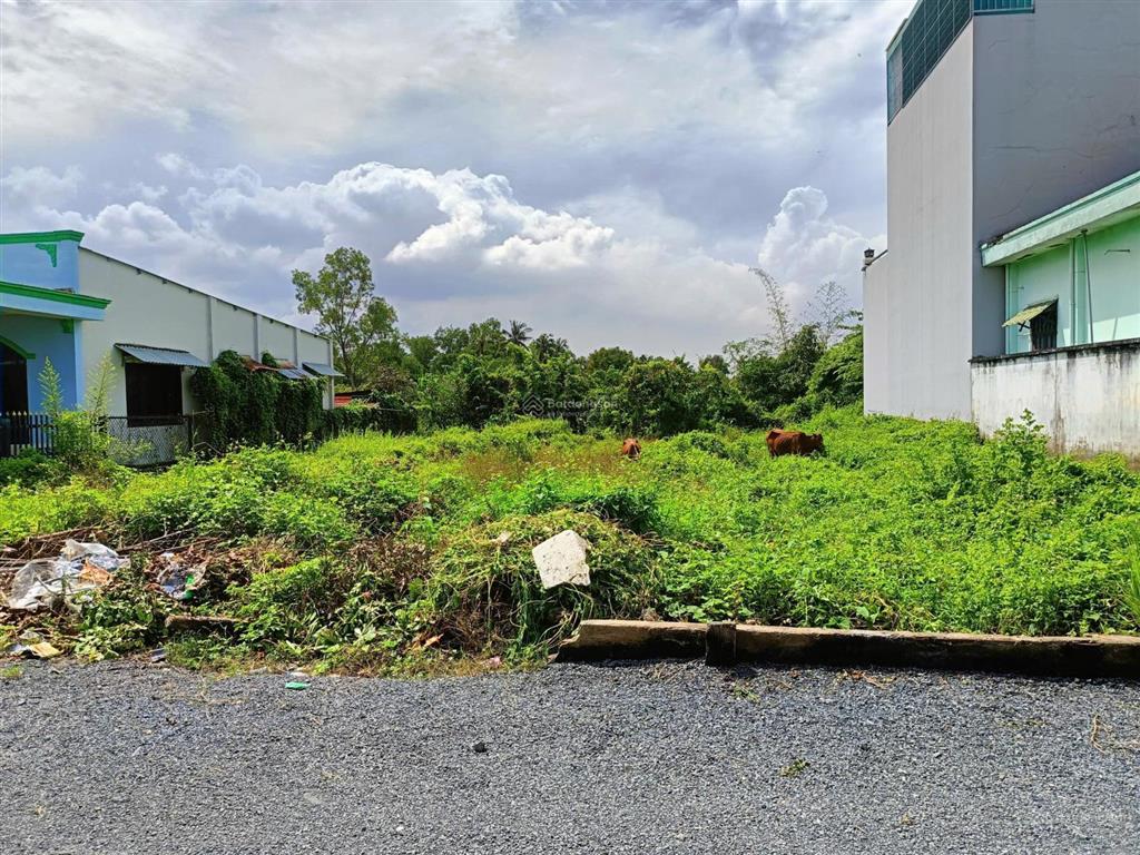 Đất thổ cư 200m2 (6x33) gần làng đại học, đường nhựa 6m, cách mt long phước 40m, p long phước, q9