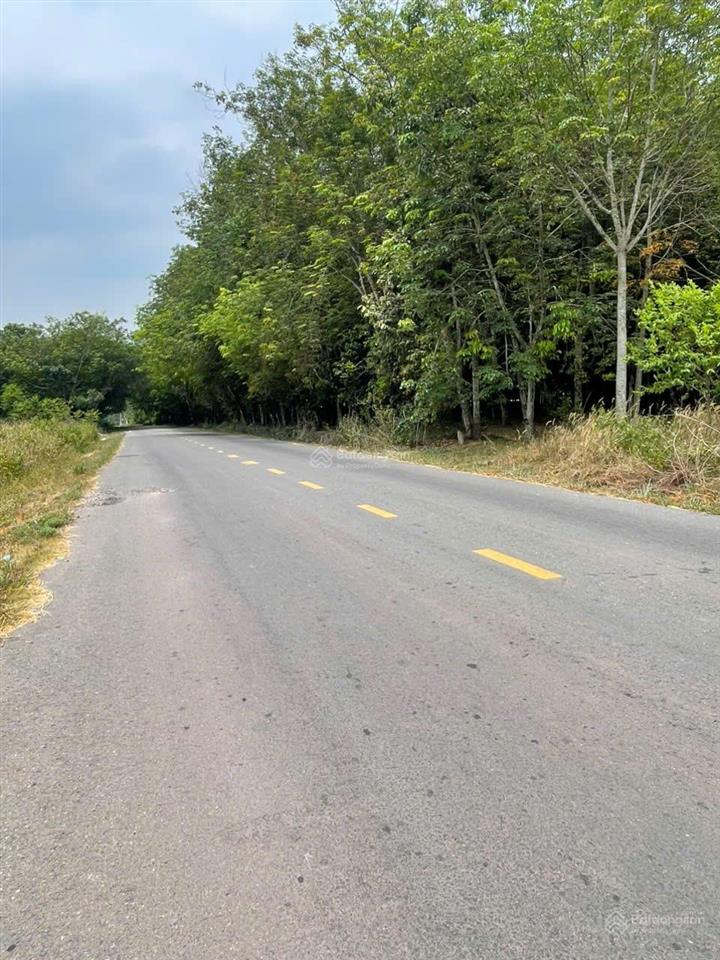 Bán đất 1000m² xã minh thạnh  dầu tiếng, bình dương  đầu tư đón sóng hạ tầng