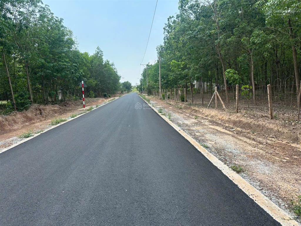 Sở hữu ngay 3000m² đất gần suối trúc  núi cậu  tiềm năng du lịch đầu tư sinh lời
