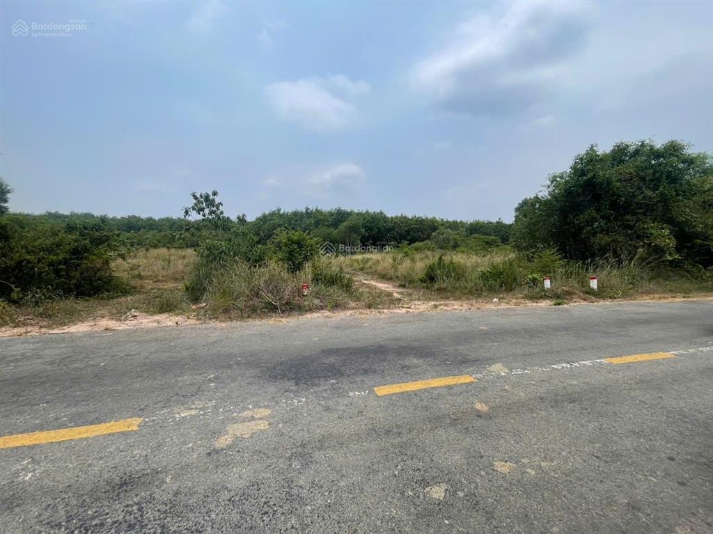 Cơ hội đầu tư đất long hòa dầu tiếng  1000m² đón đầu sóng công nghiệp gần kcn bàu bàng