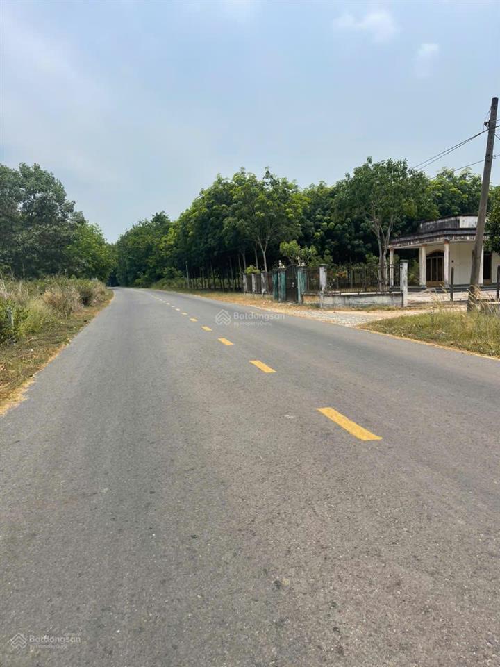 Bán đất 1000m2 có thổ cư  minh thạnh dầu tiếng  điểm sáng đầu tư đất nền với hạ tầng đang bứt phá