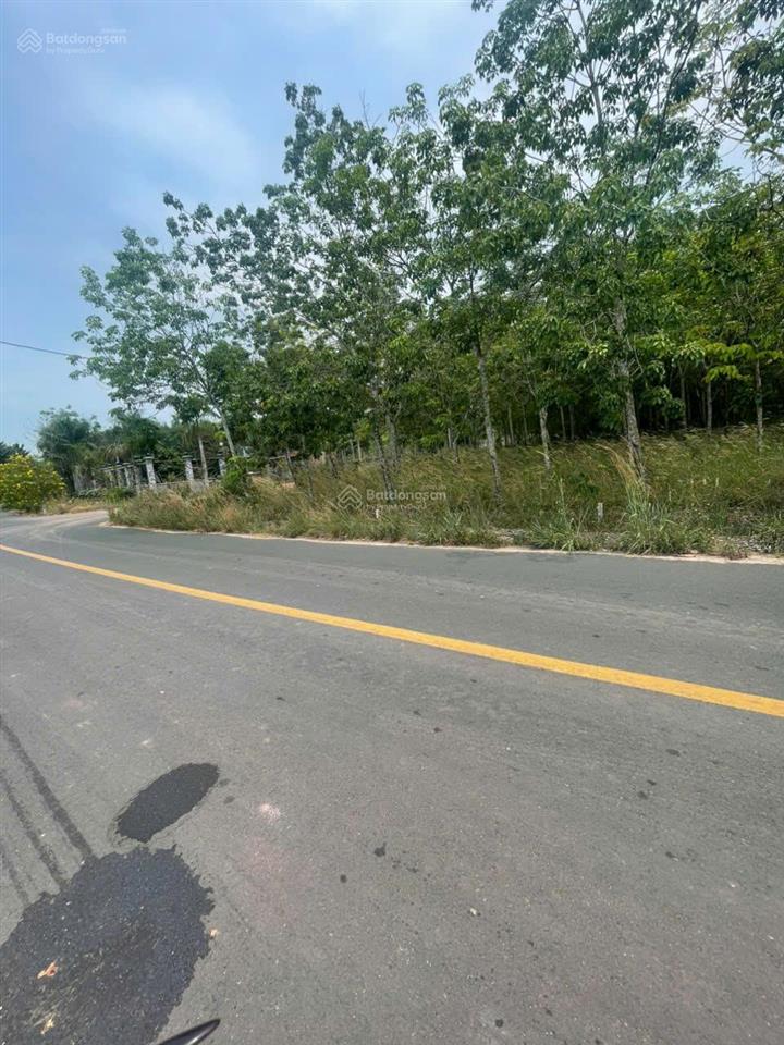 Bán đất 1000m2 có thổ cư  minh thạnh dầu tiếng  điểm sáng đầu tư đất nền với hạ tầng đang bứt phá