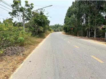 Đất nền long hòa dầu tiếng bình dương  đón sóng kcn cây trường 2 mở rộng