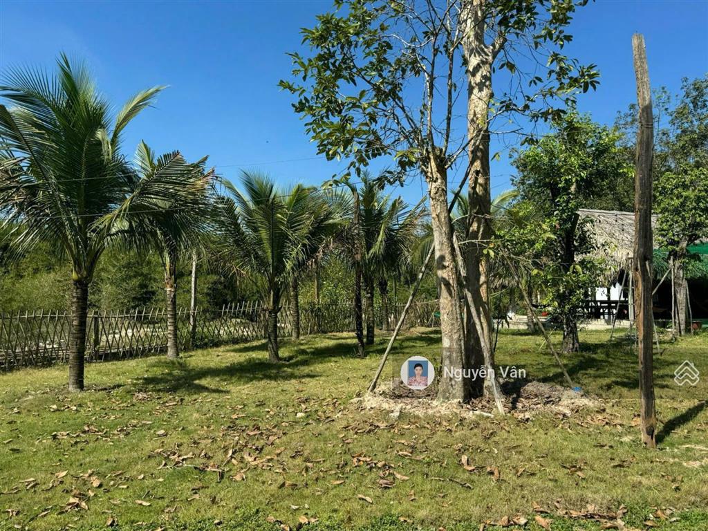 Hot! sở hữu ngay 450m² đất thổ cư dầu tiếng mặt tiền đẹp oto tới đất đón sóng du lịch hồ dầu tiếng