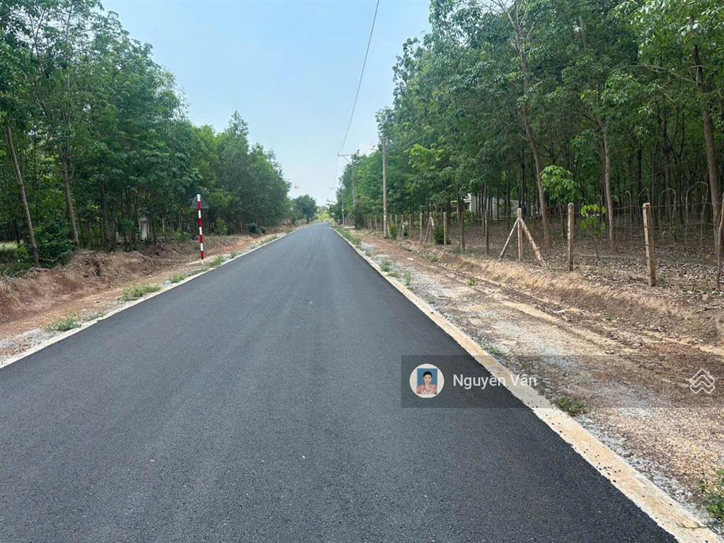 Hot! sở hữu ngay 450m² đất thổ cư dầu tiếng mặt tiền đẹp oto tới đất đón sóng du lịch hồ dầu tiếng