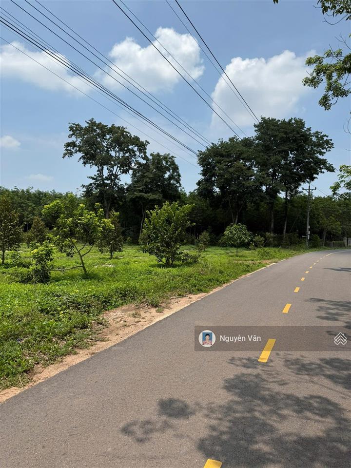 Chỉ hơn 500 triệu sở hữu ngay đất long tân (long hòa) 250m² có 100m² thổ cư, đường nhựa