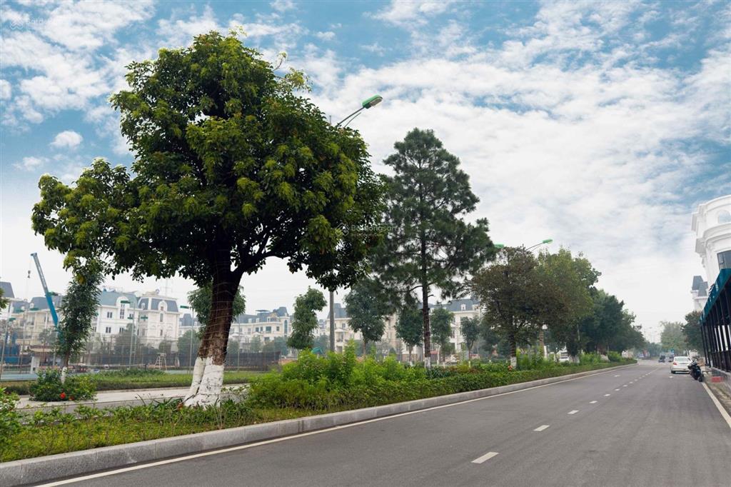 Bán gấp biệt thự song lập lideco giá chỉ 100 triệu/m2, giá tham khảo tốt trong khu vực