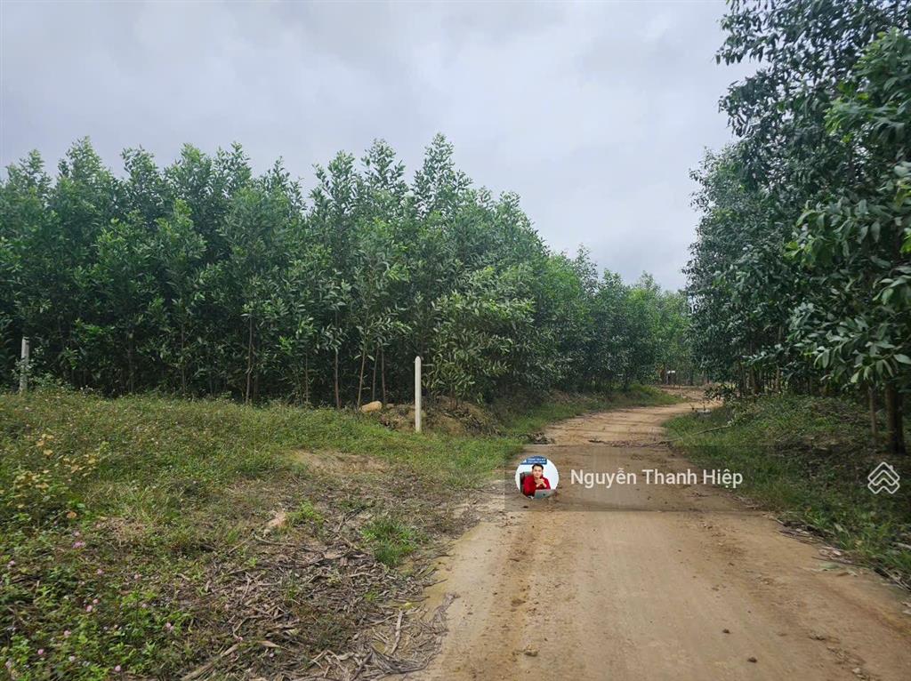 Chính chủ gửi bán lô đất vườn khánh đông, đường to 8m, hướng nam mát mẻ, giá chỉ 250 triệu(bao tất)