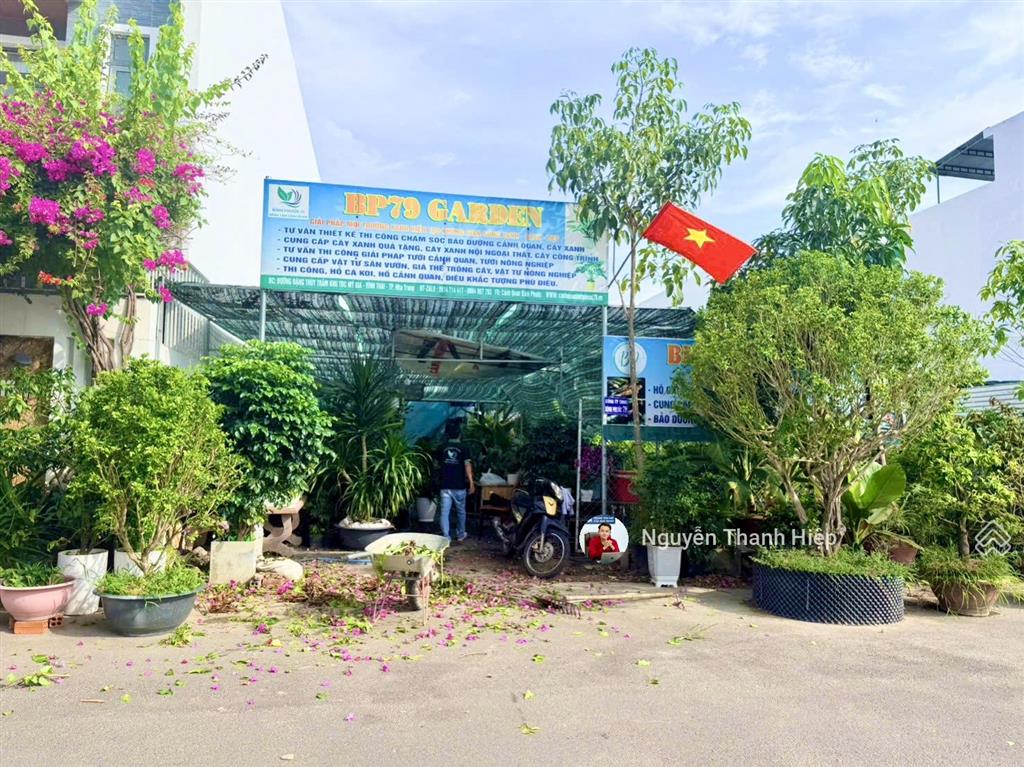 Sổ hồng đất mỹ gia, đường to, hướng mát, cạnh uỷ ban phường, giá chỉ 6.5 tỷ(bao tất cả)