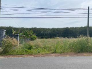 Chính chủ cần bán gấp lô đất 10m ngang mặt tiền dt744 xã minh thạnh  hồ chí minh