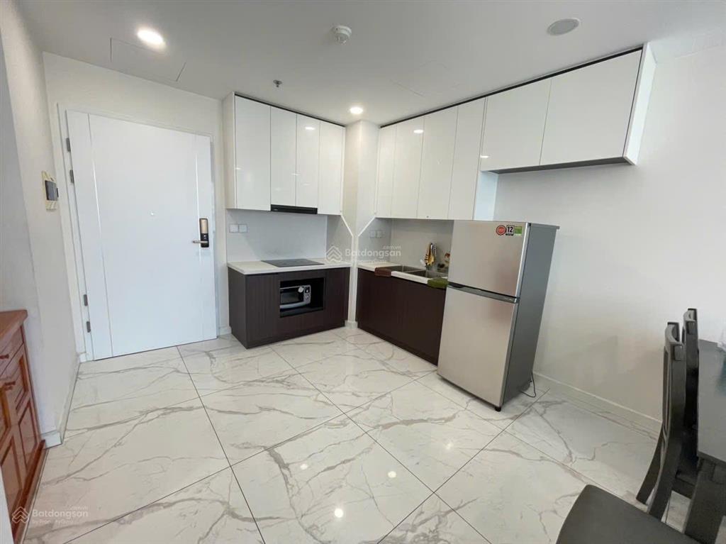 Cho thuê căn hộ cao cấp sunshine sky city 70m² full nt