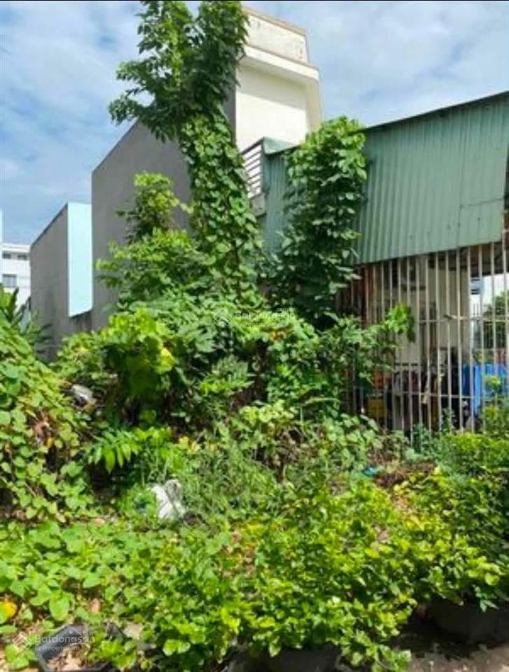Cần tiền bán nền đất full thổ cư khu dân cư bình điền (chợ đầu mối bình điền) phường bình đông