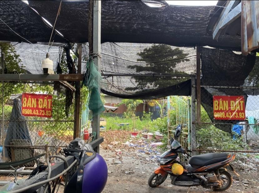 Cần tiền bán đất xã bình hưng huyện bình chánh gần bến xe q8