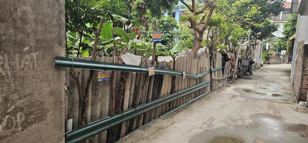 Chính chủ cần bán 172m2 đất trồng cây lâu năm, trong khu dân cư. miễn môi giới.