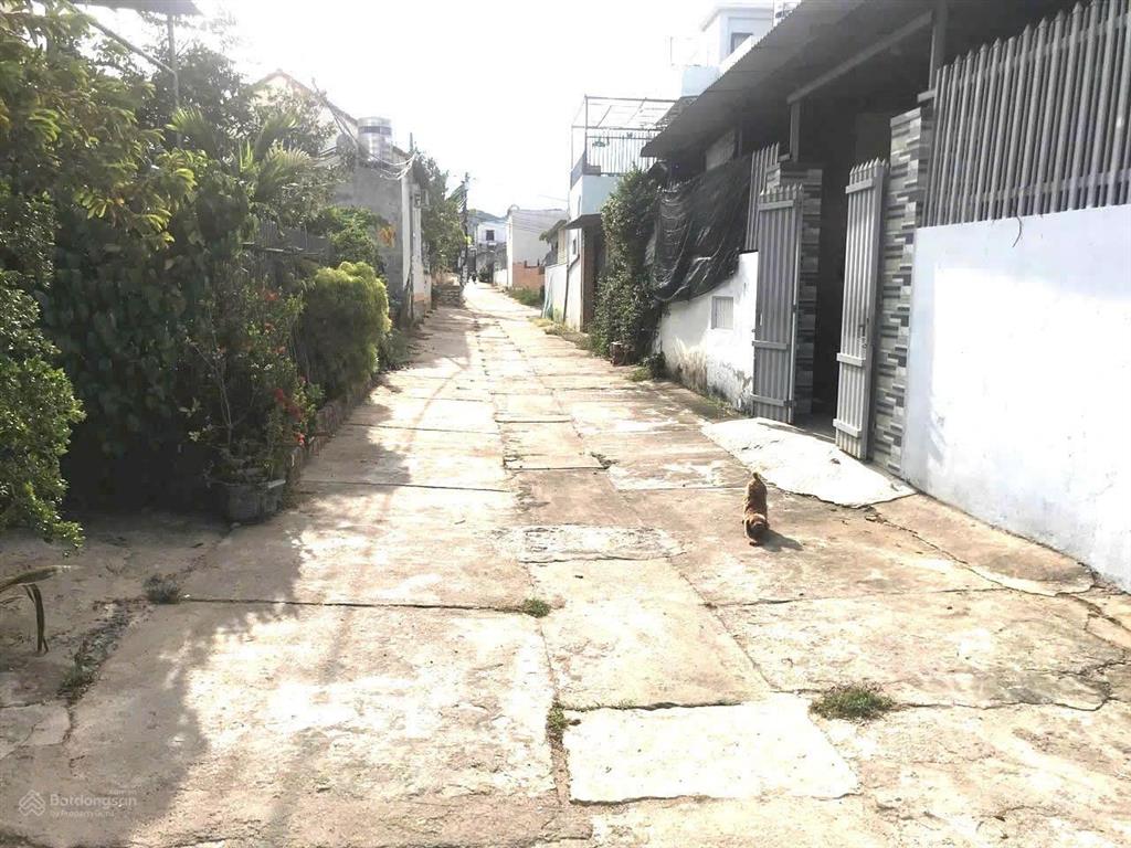 Bán đất hòn nghê, vĩnh ngọc dt 372 m2, ngang 25 m, đường 5 m  giá 3,2 tỷ
