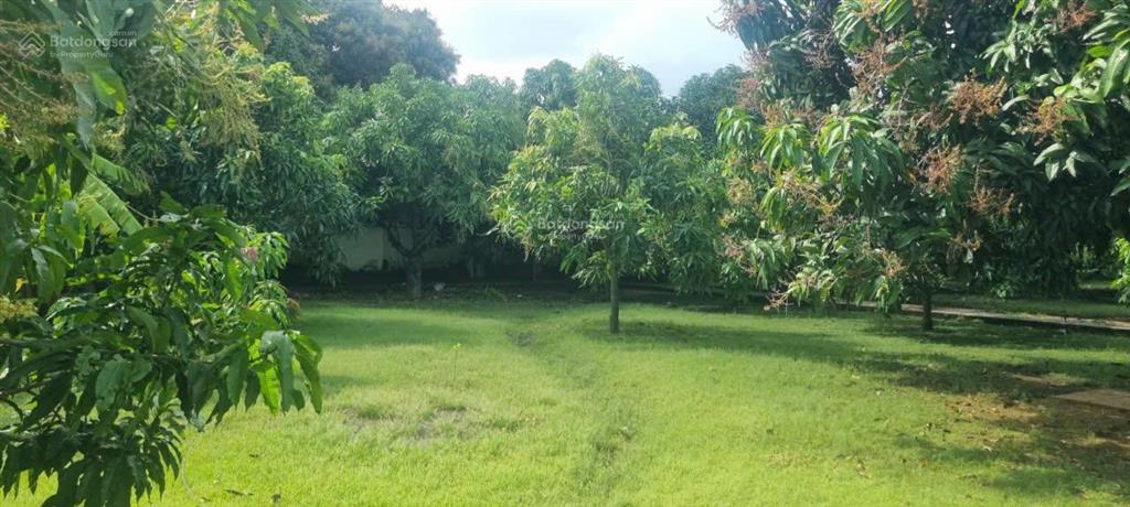 Bán căn nhà nghỉ dưỡng cần thạnh, có vườn cây ăn trái đẹp, 5000m2, giá 20tr/m2 thương lượng