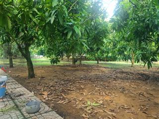 Bán căn nhà nghỉ dưỡng cần , có vườn cây ăn trái đẹp, 5000m2, giá 20tr/m2 thương lượng