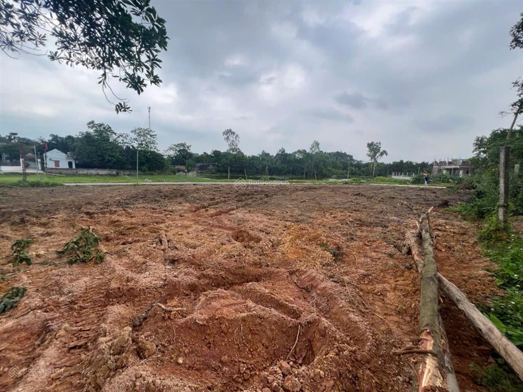 Bán 741m thổ cư 100m mặt tiền gần 40m đất vuông vắn, rộng, cực kỳ hiếm xây gì cũng đẹp!