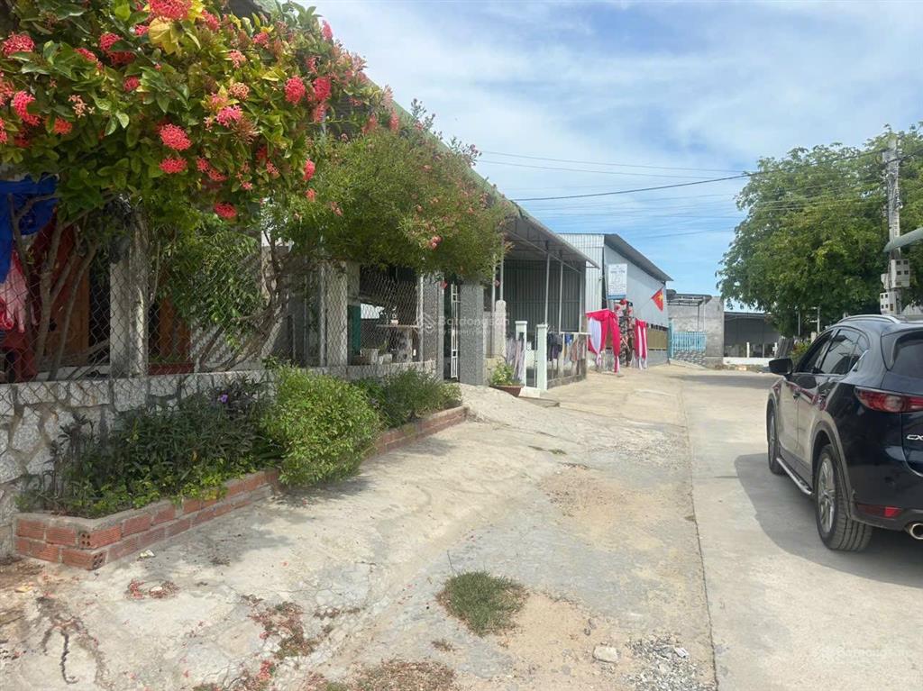 Bán đất tại đường 702, ninh hải, 1,55 tỷ, 196 m2, hàng hiếm đẹp, nhiều tiện ích