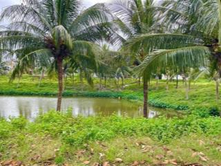 Bán lô fpt trục shophouse đối diện kênh sinh thái