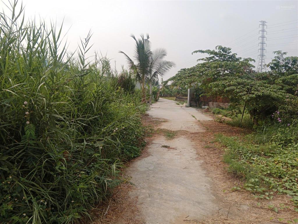 Bán đất thổ cư xã nhựt chánh, huyện bến lức, long an