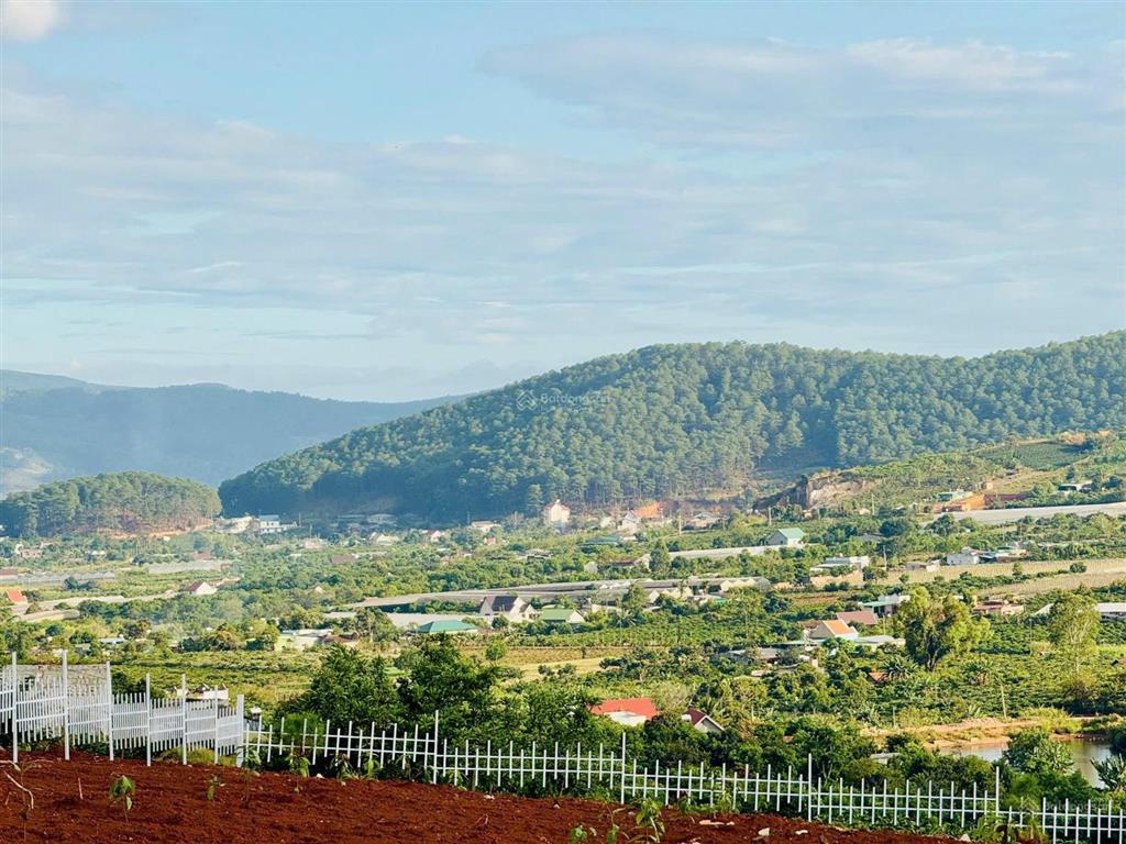 Đất đẹp làm farmstay 8.803m², sẵn thổ cư, có ao cá, cây trái đầy đủ