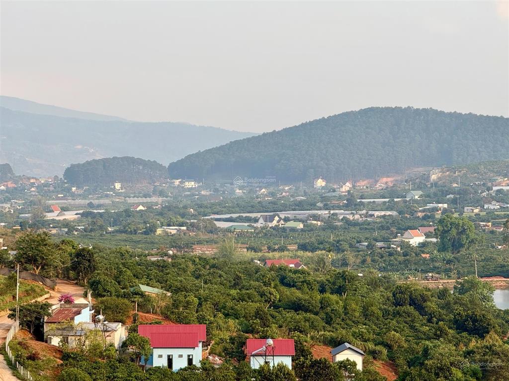 Đất đẹp làm farmstay 8.803m², sẵn thổ cư, có ao cá, cây trái đầy đủ