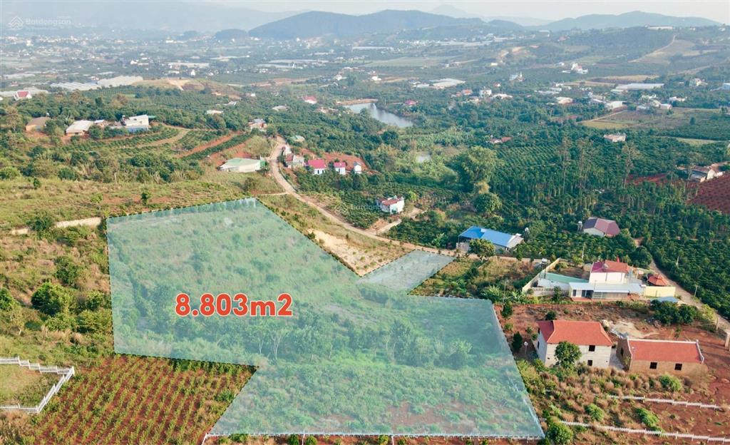 Đất đẹp làm farmstay 8.803m², sẵn thổ cư, có ao cá, cây trái đầy đủ