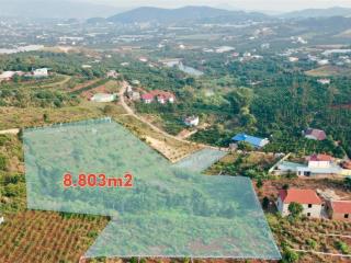 Đất đẹp làm farmstay 8.803m², sẵn thổ cư, có ao cá, cây trái đầy đủ
