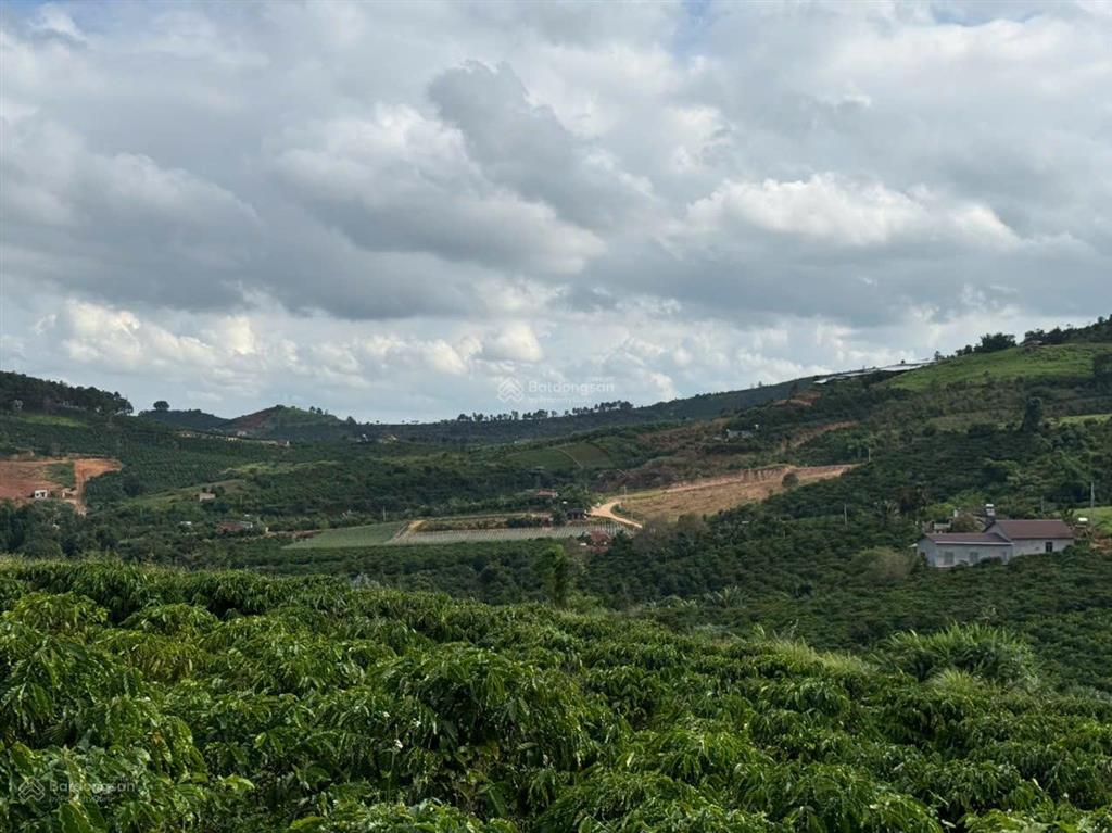 Siêu rẻ đất xã nam ban  view thung lũng  giá chỉ 450tr