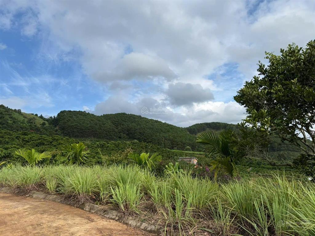 Siêu rẻ đất xã nam ban  view thung lũng  giá chỉ 450tr