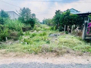 947m2 có 500m2 thổ cư. đường nhựa. 8m ngang. 1,x tỷ