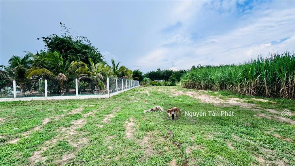 5x61m có thổ cư. gần kcn. dân đông. chỉ 410tr. rẻ quá rẻ