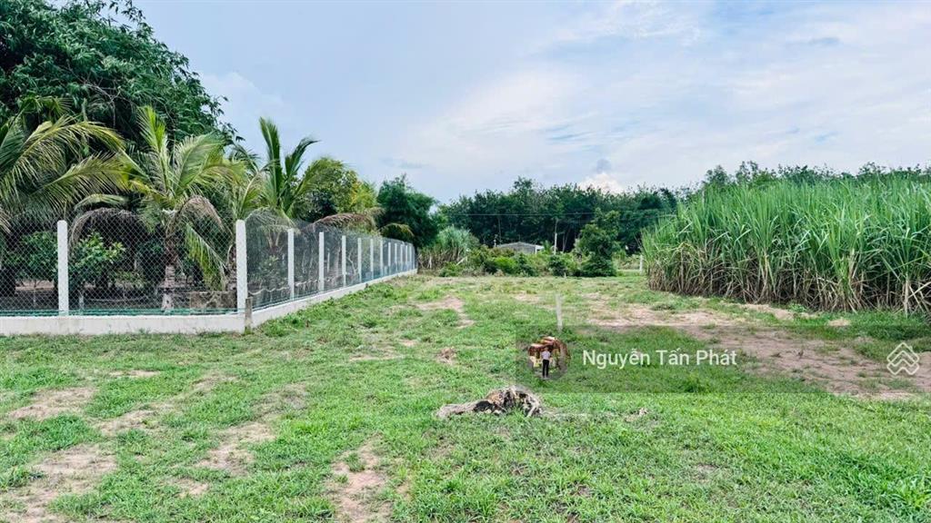5x61m có thổ cư. gần kcn. dân đông. chỉ 410tr. rẻ quá rẻ