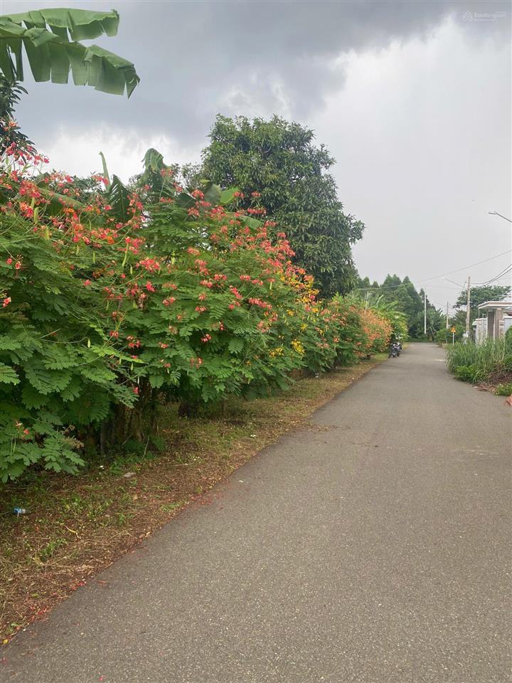 Hàng hiếm * lô góc 5100m2 đường 13, 13b hoà long, bà rịa. có 300m thổ cư