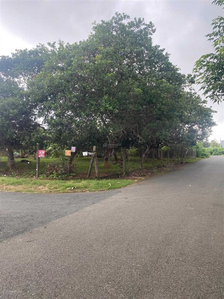 Hàng hiếm * lô góc 5100m2 đường 13, 13b hoà long, bà rịa. có 300m thổ cư