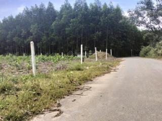 Đất vườn diên đồng đường nhựa 350tr