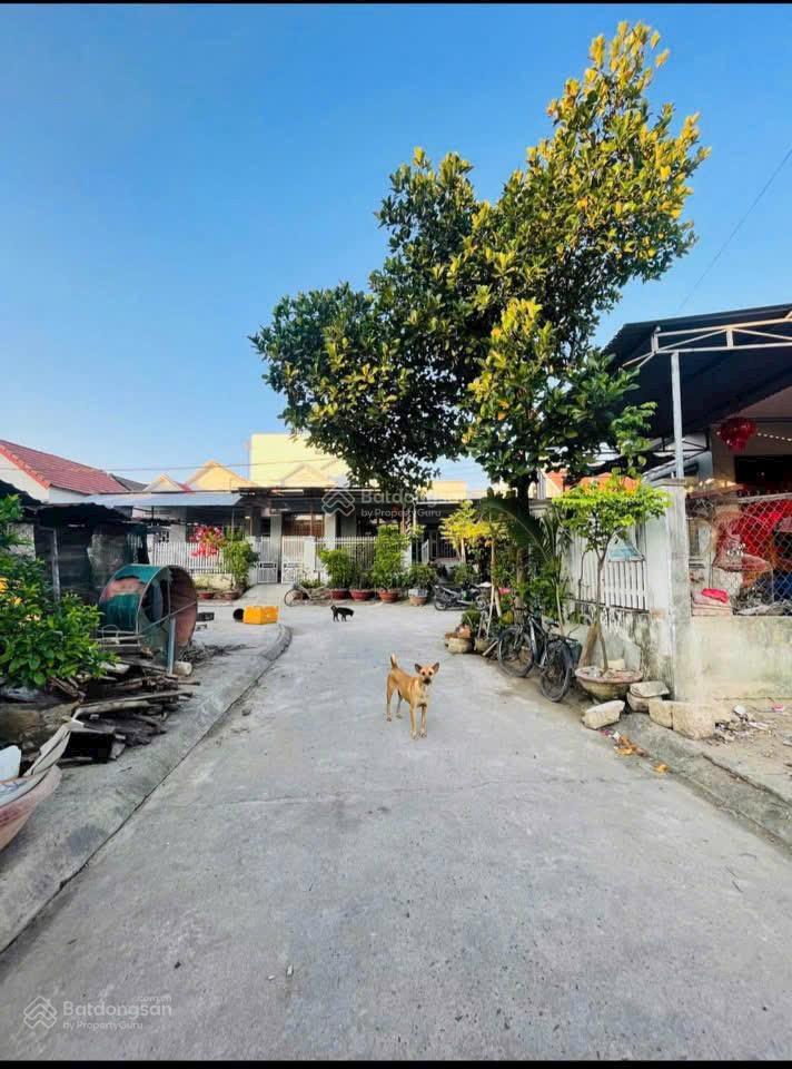 Tđc diên toàn ngay chợ đông dinh
