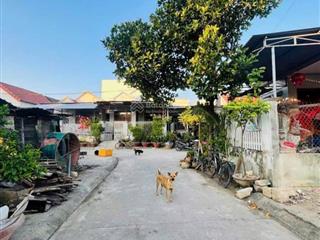 Tđc diên toàn ngay chợ đông dinh