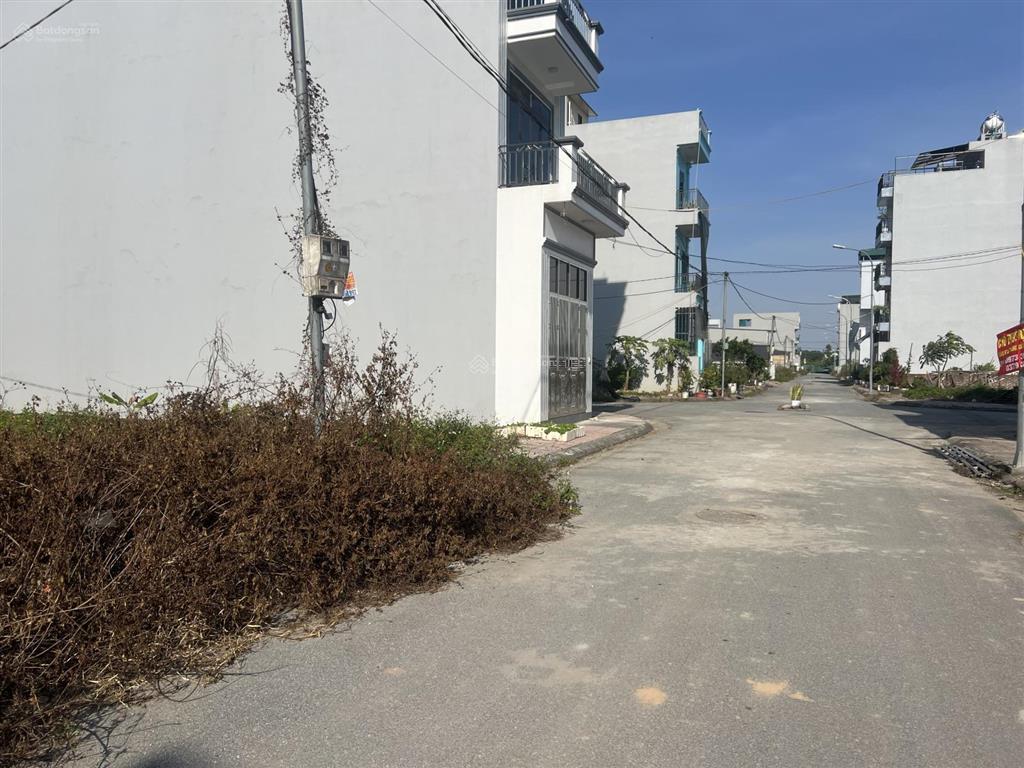 Chủ nhà cắt sâu tận xương tủy. ace cần alo e nhé 8x tr