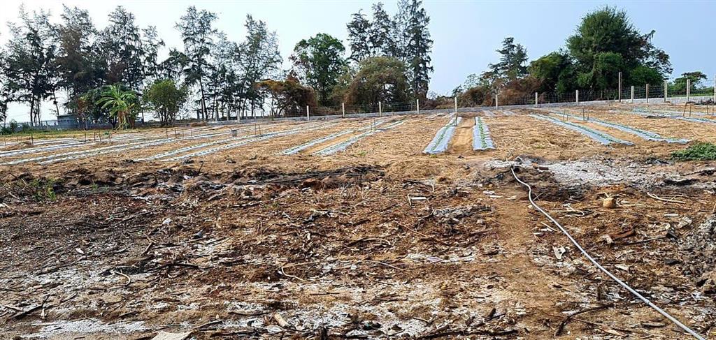 Quỹ đất hiếm 7000m² mt biển cần giờ thuận tiện phát triển resort/villa, giá thỏa thuận