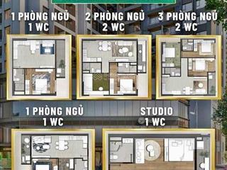 Phân tích các dòng căn hộ hiện có trên bảng hàng d. án the emerald garden view tại thuận antp hcm