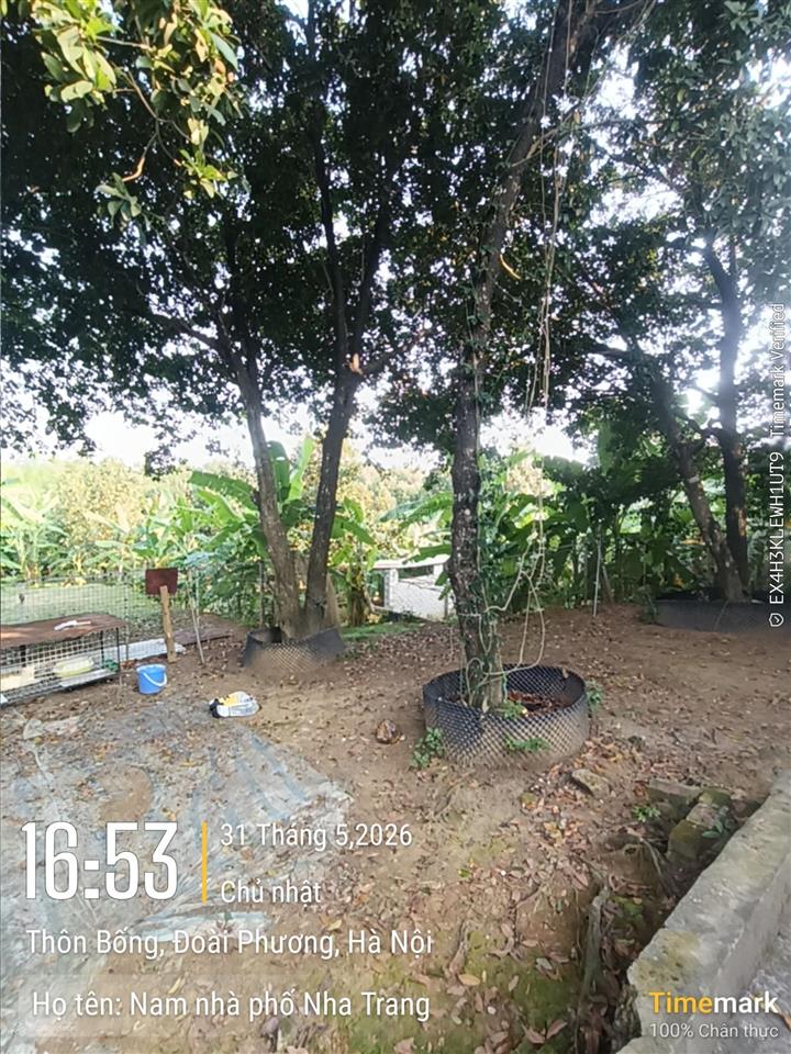 Bán đất đẹp tại xã sơn đông, sơn tây nay là đoài phương, hà nội, dt 1000m2, 17tỷ còn thương lượng