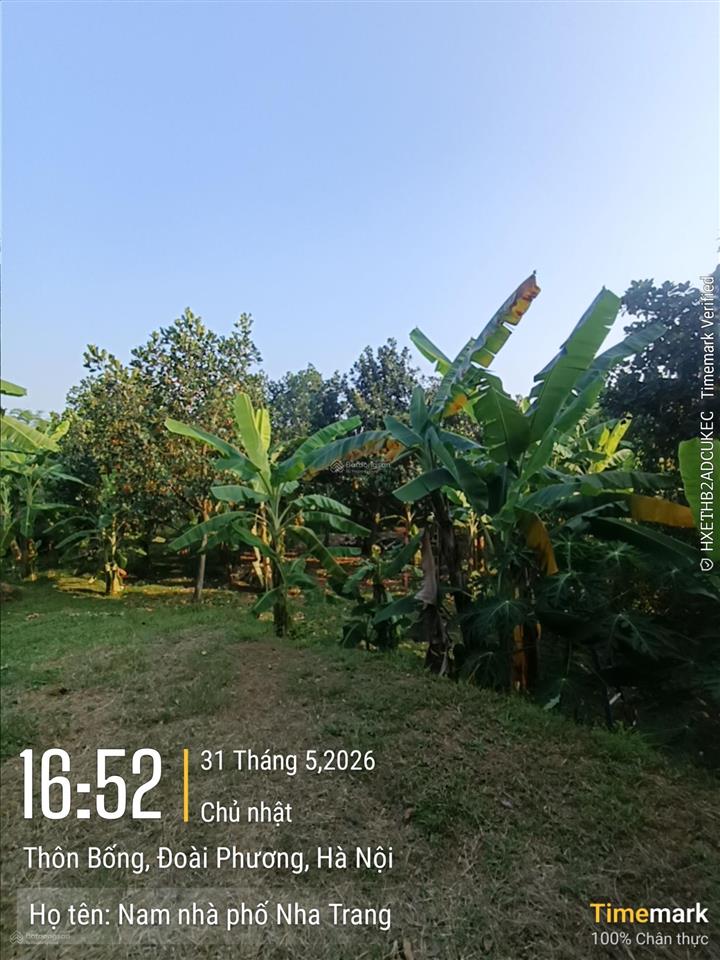 Bán đất đẹp tại xã sơn đông, sơn tây nay là đoài phương, hà nội, dt 1000m2, 17tỷ còn thương lượng