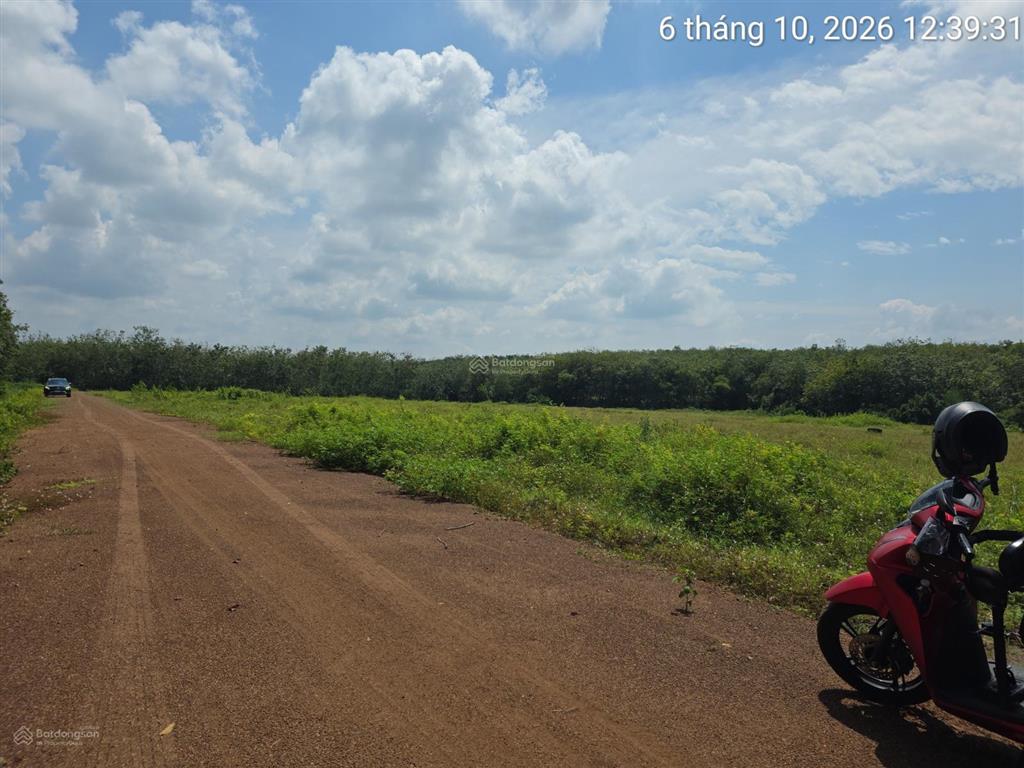 Đất bán tại xã định hiệp, huyện dầu tiếng, bình dương, 8 tỷ vnd, 889 m2, view đẹp